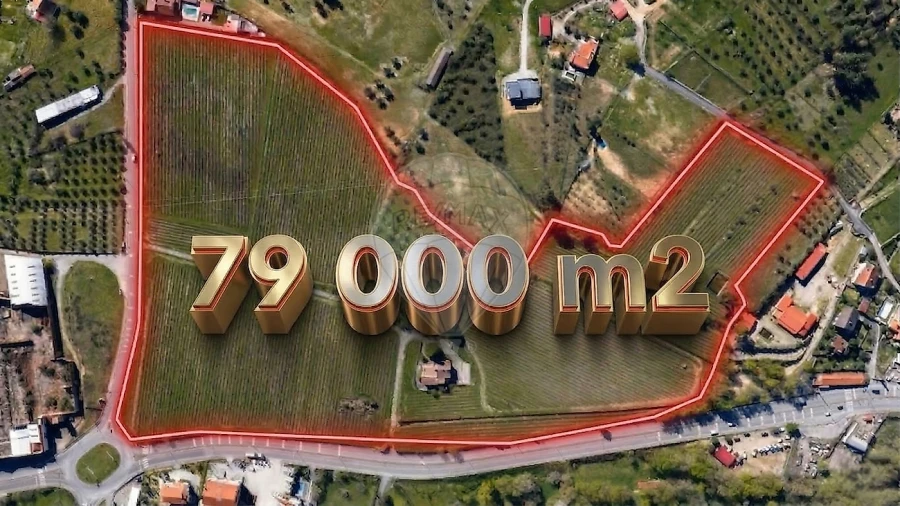 Quinta T7 para Venda em Alcaria Foto 45