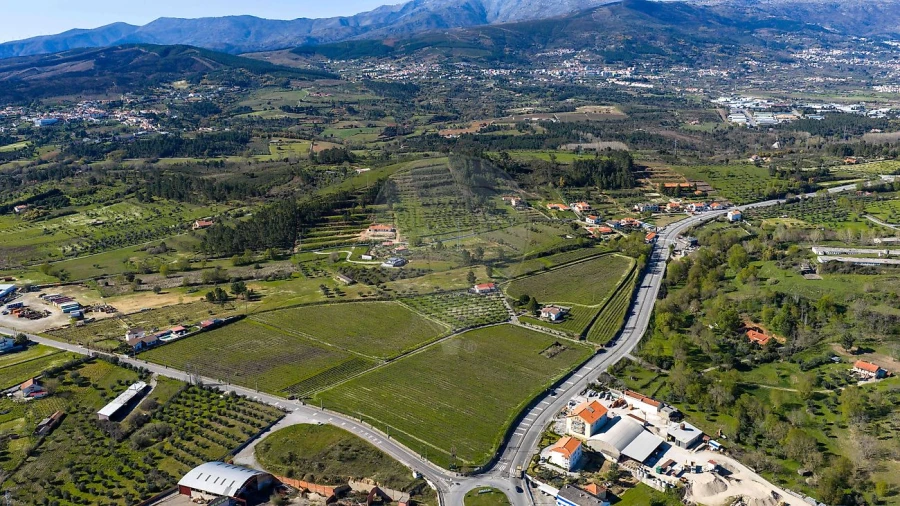 Quinta T7 para Venda em Alcaria Foto 46