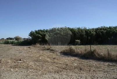 Terreno para Venda em Atalaia e Alto Estanqueiro-Jardia