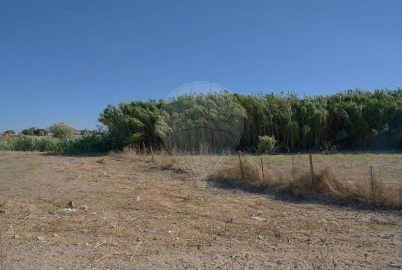 Terreno para Venda em Atalaia e Alto Estanqueiro-Jardia