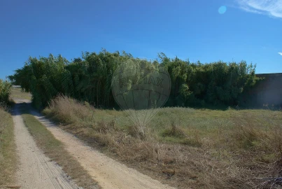 Terreno para Venda em Atalaia e Alto Estanqueiro-Jardia