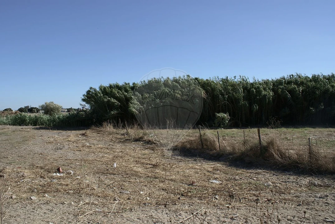 Terreno para Venda em Atalaia e Alto Estanqueiro-Jardia Foto 11