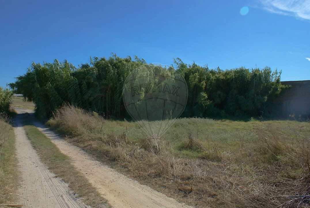 Terreno para Venda em Atalaia e Alto Estanqueiro-Jardia Foto 13
