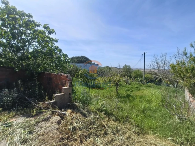 Moradia T2 para Venda em Ventosa Foto 15