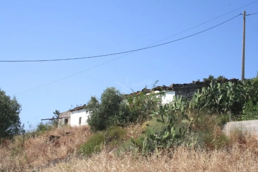 Quinta T3 para Venda em Santa Catarina da Fonte do Bispo Foto 6