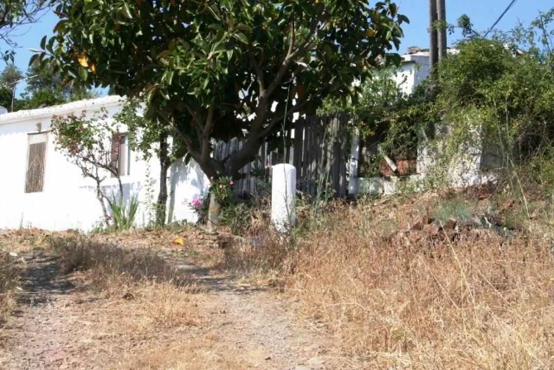 Quinta T3 para Venda em Santa Catarina da Fonte do Bispo Foto 7