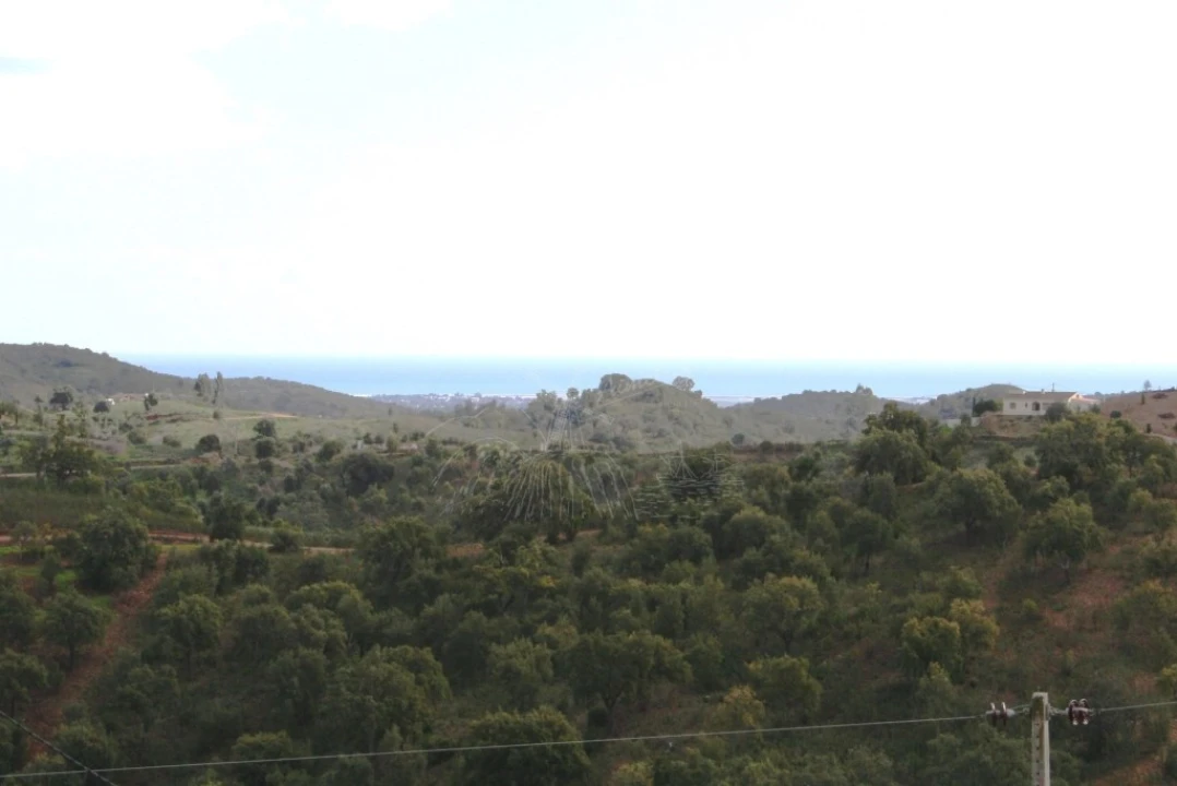 Quinta T3 para Venda em Santa Catarina da Fonte do Bispo Foto 14