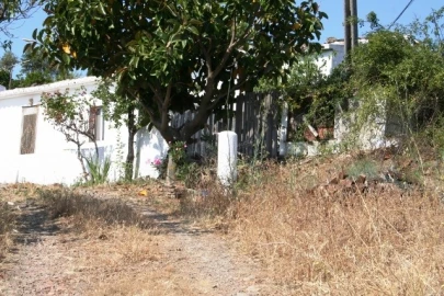 Quinta T3 para Venda em Santa Catarina da Fonte do Bispo