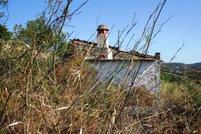 Quinta T3 para Venda em Santa Catarina da Fonte do Bispo