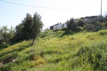 Quinta T3 para Venda em Santa Catarina da Fonte do Bispo