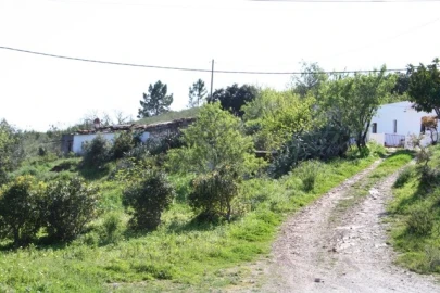 Quinta T3 para Venda em Santa Catarina da Fonte do Bispo