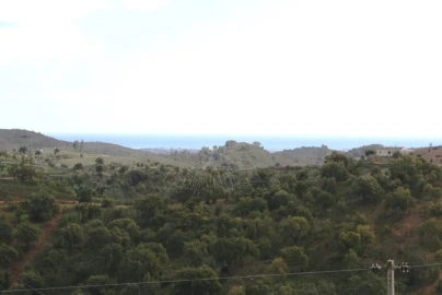 Quinta T3 para Venda em Santa Catarina da Fonte do Bispo