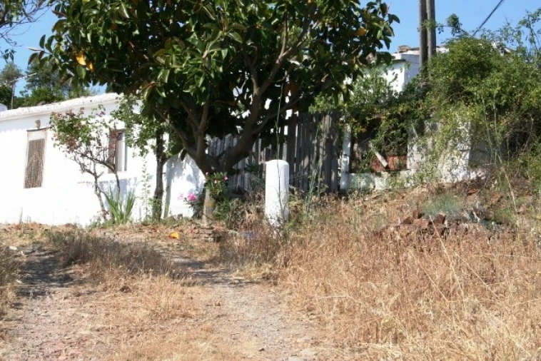 Quinta T3 para Venda em Santa Catarina da Fonte do Bispo Foto 7