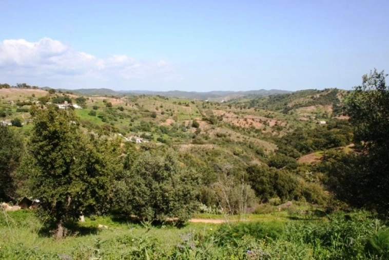 Quinta T3 para Venda em Santa Catarina da Fonte do Bispo Foto 10