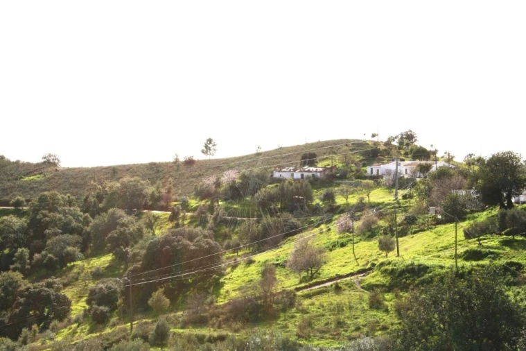 Quinta T3 para Venda em Santa Catarina da Fonte do Bispo Foto 13