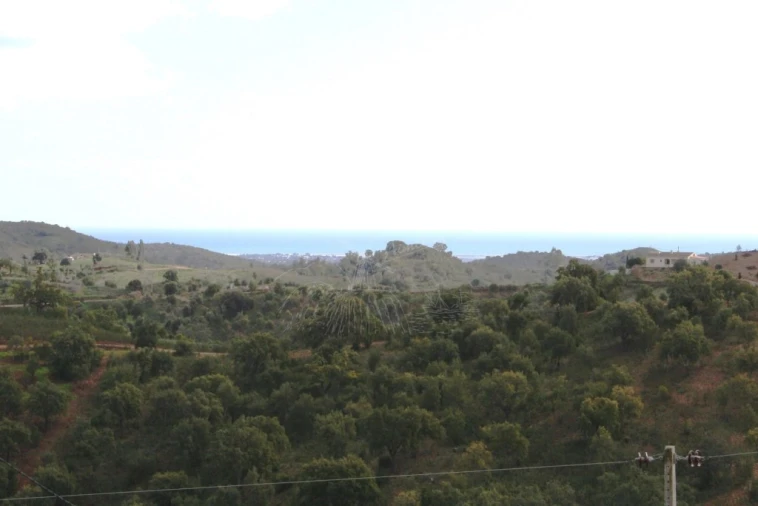 Quinta T3 para Venda em Santa Catarina da Fonte do Bispo Foto 14