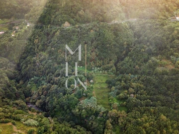 Terreno para Venda em Boa Ventura