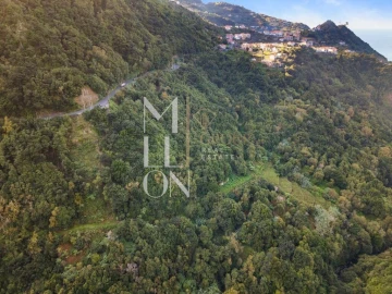 Terreno para Venda em Boa Ventura