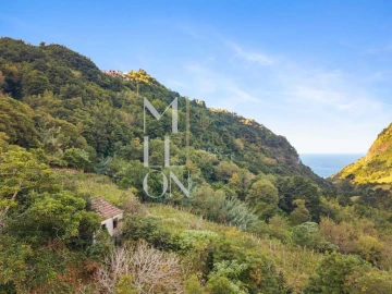 Terreno para Venda em Boa Ventura