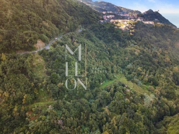 Terreno para Venda em Boa Ventura