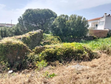 Terreno para Venda em Sapataria