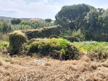 Terreno para Venda em Sapataria