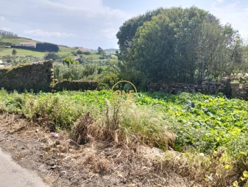 Terreno para Venda em Sapataria