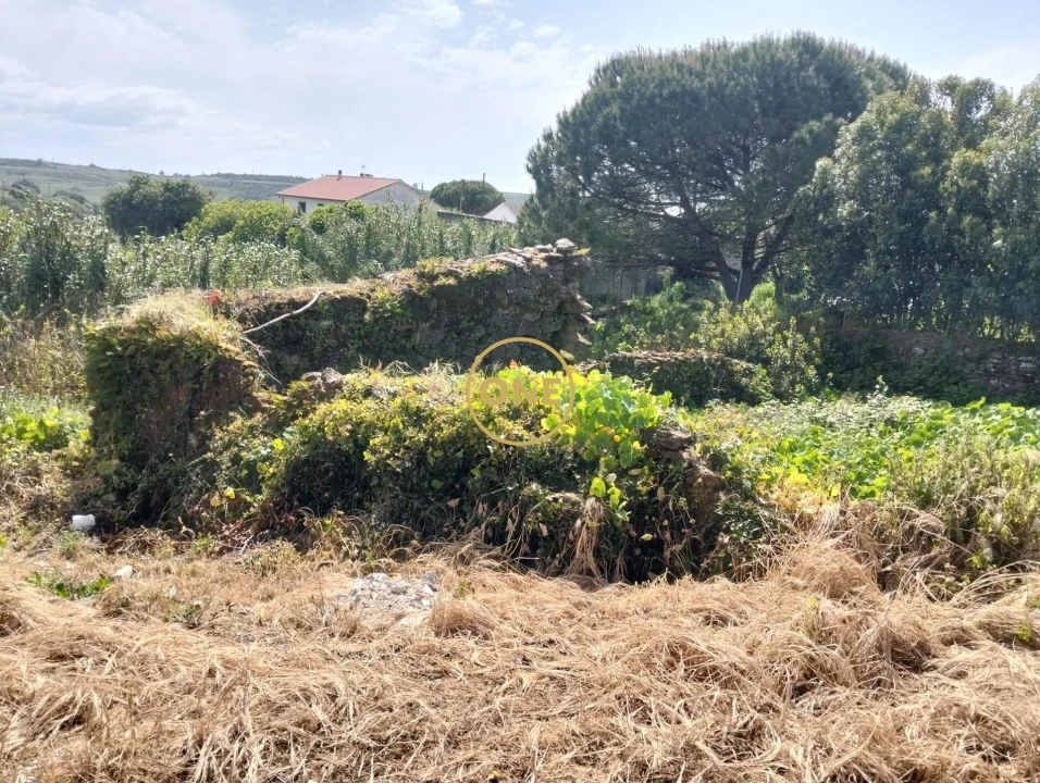 Terreno para Venda em Sapataria Foto 5