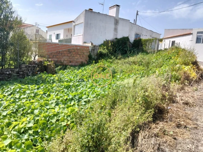 Terreno para Venda em Sapataria Foto 3