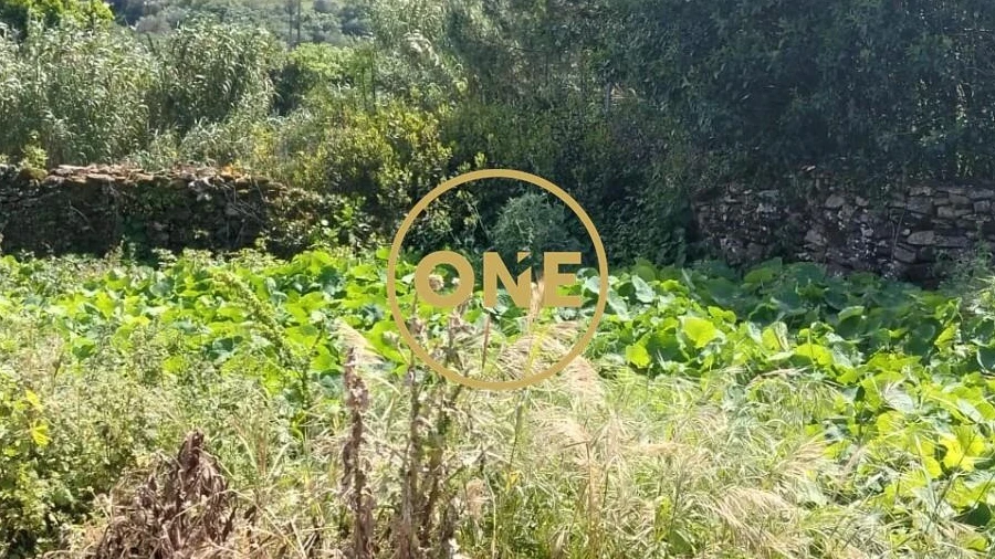 Terreno para Venda em Sapataria