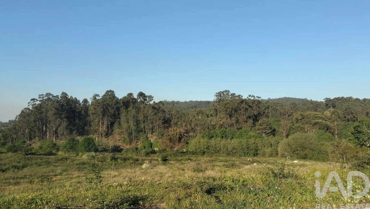 Terreno para Venda em Fonte Arcada e Oliveira Foto 11