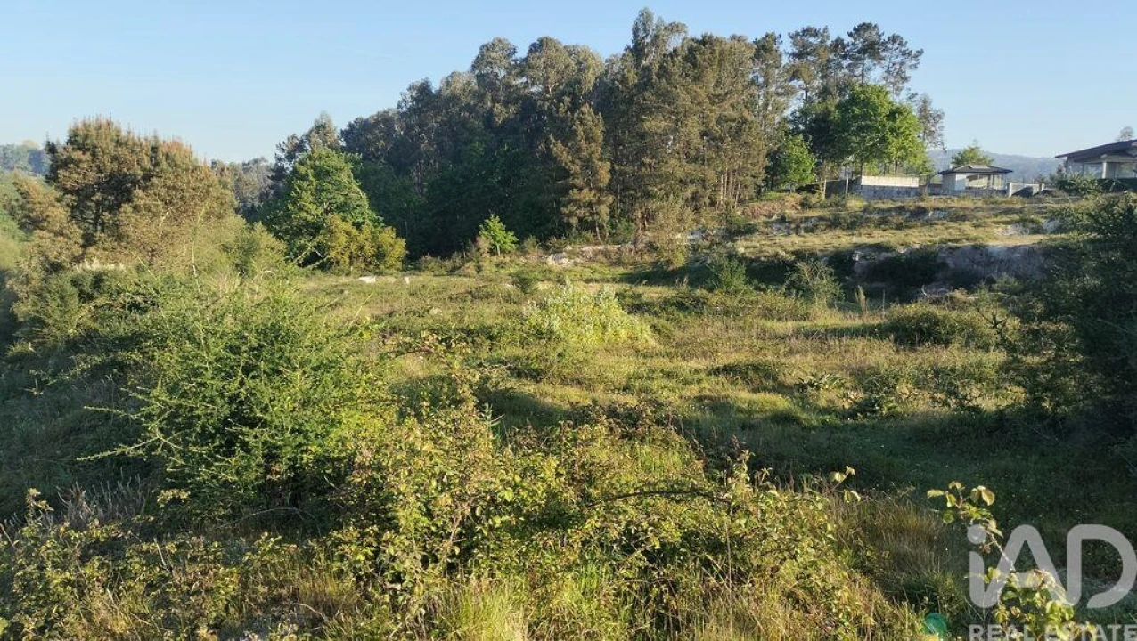 Terreno para Venda em Fonte Arcada e Oliveira Foto 30