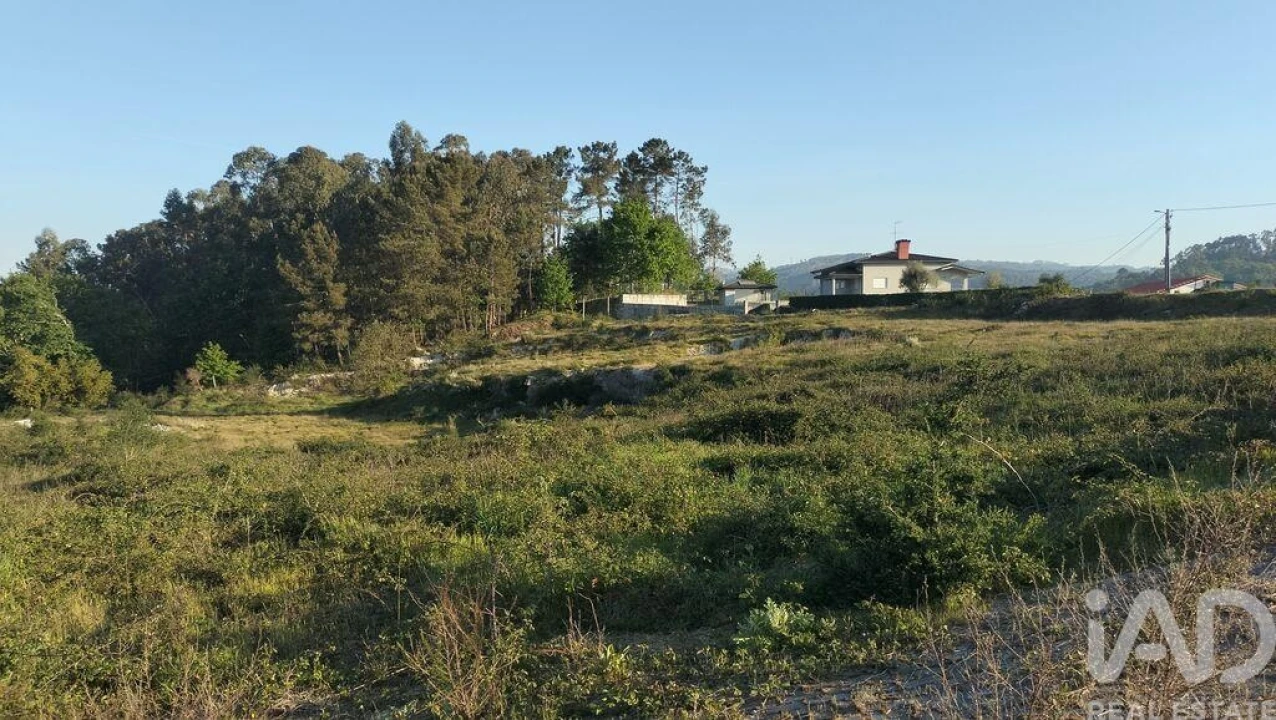 Terreno para Venda em Fonte Arcada e Oliveira Foto 4