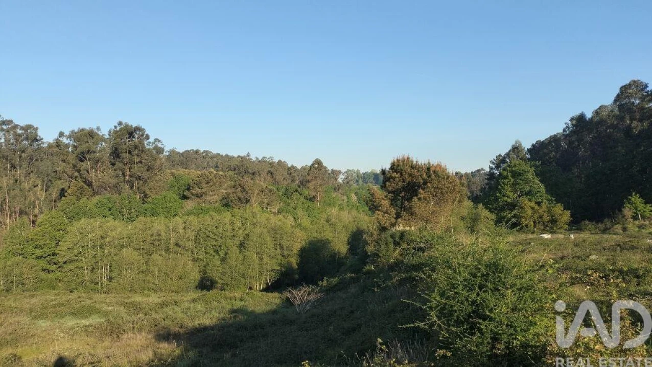 Terreno para Venda em Fonte Arcada e Oliveira Foto 33