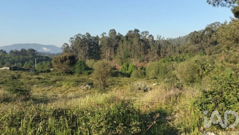 Terreno para Venda em Fonte Arcada e Oliveira