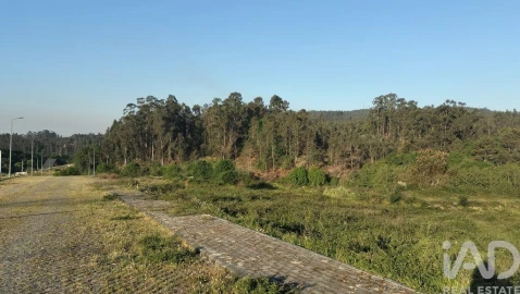 Terreno para Venda em Fonte Arcada e Oliveira