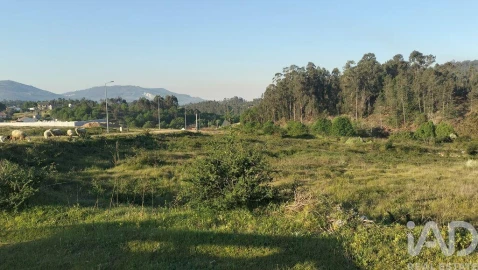 Terreno para Venda em Fonte Arcada e Oliveira
