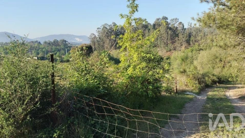Terreno para Venda em Fonte Arcada e Oliveira