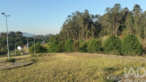 Terreno para Venda em Fonte Arcada e Oliveira