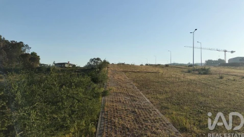 Terreno para Venda em Fonte Arcada e Oliveira
