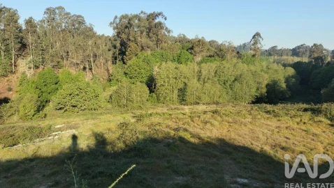 Terreno para Venda em Fonte Arcada e Oliveira