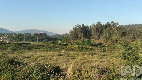 Terreno para Venda em Fonte Arcada e Oliveira