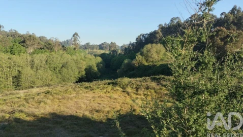 Terreno para Venda em Fonte Arcada e Oliveira