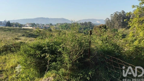Terreno para Venda em Fonte Arcada e Oliveira