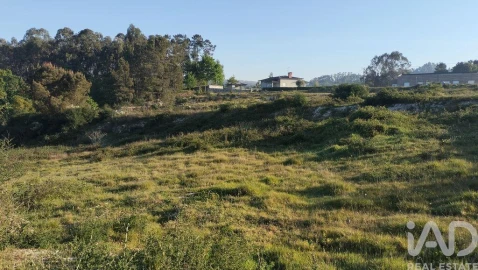 Terreno para Venda em Fonte Arcada e Oliveira
