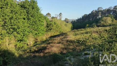 Terreno para Venda em Fonte Arcada e Oliveira