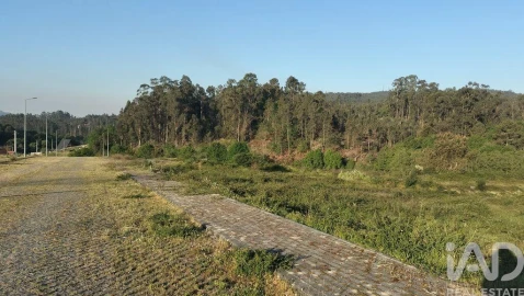 Terreno para Venda em Fonte Arcada e Oliveira