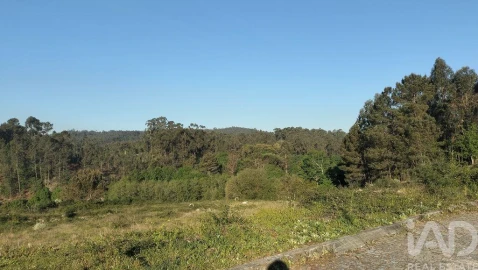 Terreno para Venda em Fonte Arcada e Oliveira