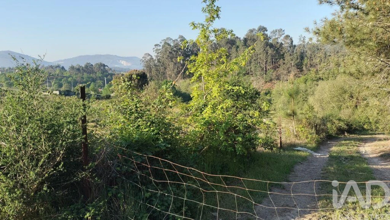 Terreno para Venda em Fonte Arcada e Oliveira Foto 19