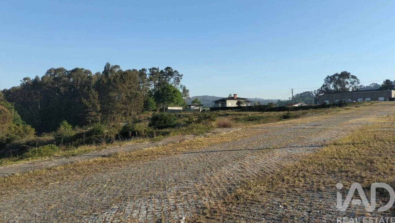 Terreno para Venda em Fonte Arcada e Oliveira Foto 10